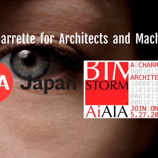 aia-japan-bimstorm